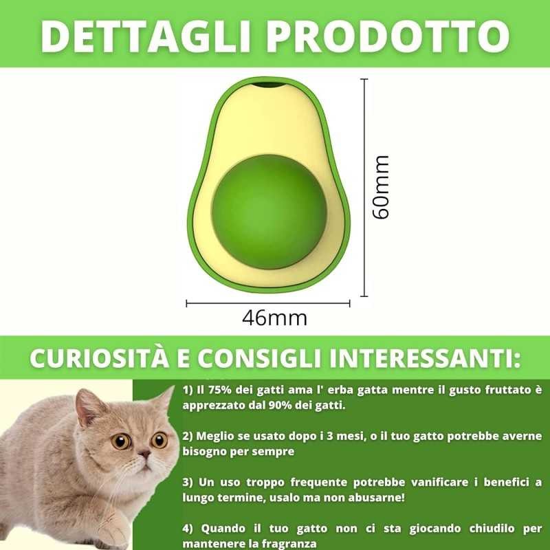 AVOCADO CATNIP - Herbe À Chat