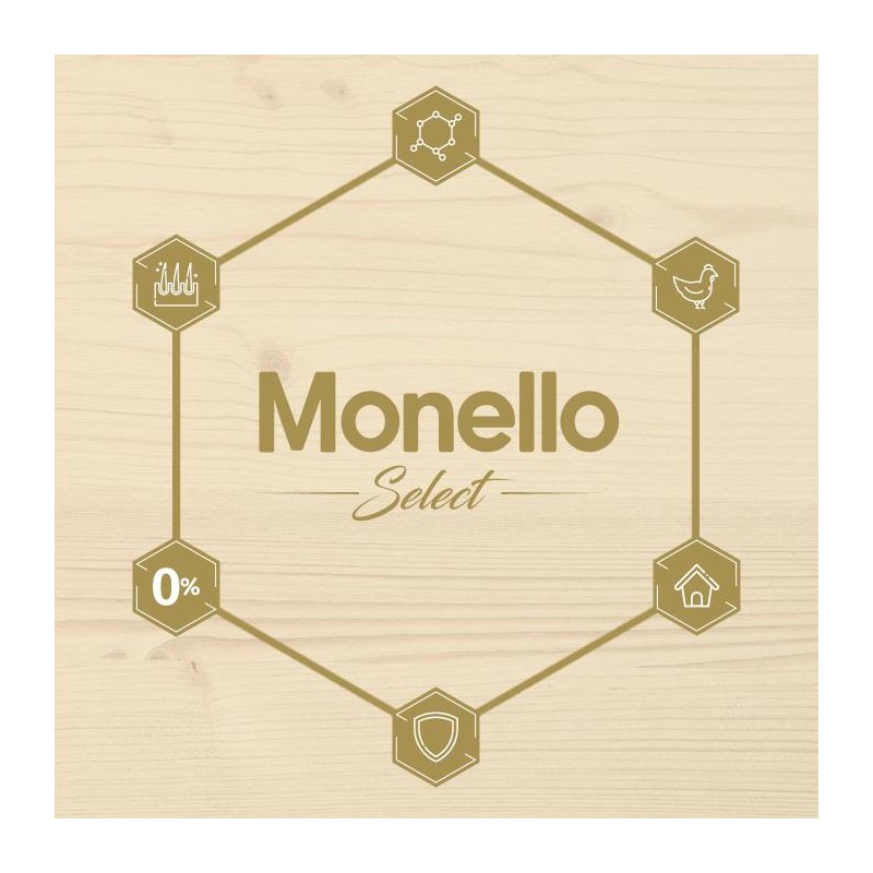 MONELLO GALLETAS DIVERSAO 300 G