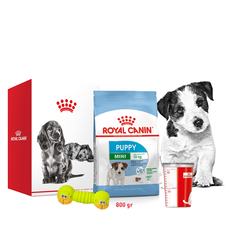 ROYAL CANIN - Kit de recrutement CHIEN MINI PUPPY 1 kg + jouet gratuit